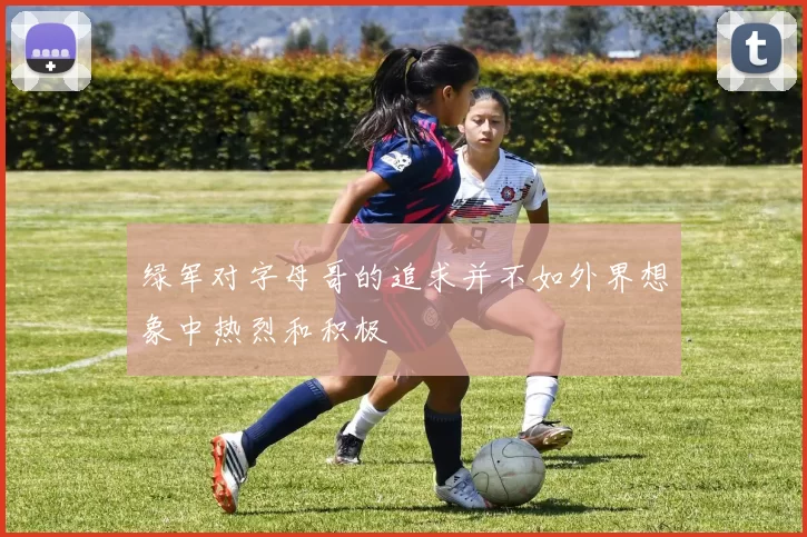 绿军对字母哥的追求并不如外界想象中热烈和积极