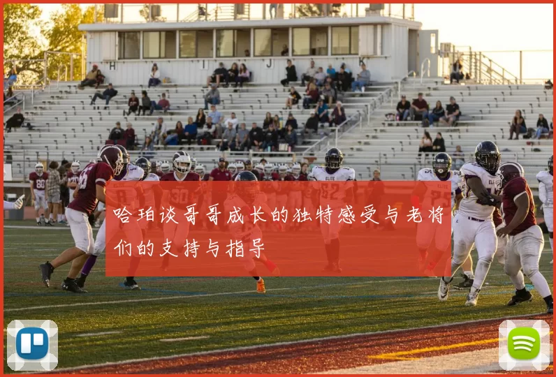 哈珀谈哥哥成长的独特感受与老将们的支持与指导